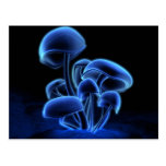 Fluorescence Postcard