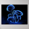 Fluorescence posters
