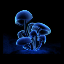 Fluorescence posters