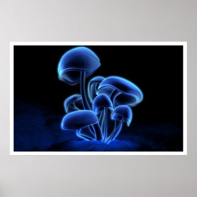 Fluorescence Print by digitalblasphemy
