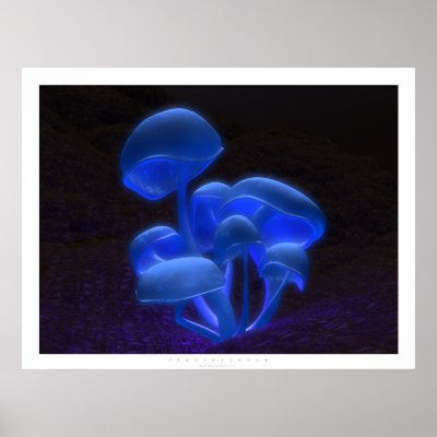 Fluorescence Poster by digitalblasphemy