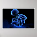 Fluorescence Print