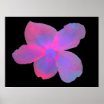 Fluorescent Begonia Flower Print
