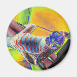Fluorescent Lizard Refrigerator Magnets