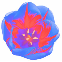 Fluorescent Tulip Photo Sculpture