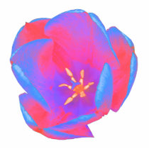 Fluorescent Tulip Photo Sculpture