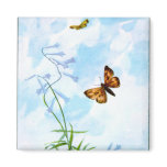 Fluttering Vintage Butterflies magnets