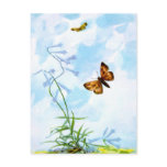 Fluttering Vintage Butterflies postcards