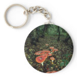 Fly agarics keychains