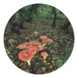 Fly agarics sticker