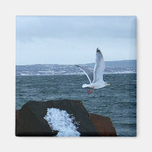 Fly Away Magnet