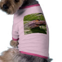 Fly Bugs Insects pet clothing