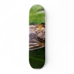 Fly Bugs Insects Skate Board