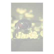 fly customized stationery