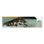 Fly Drone bumper stickers