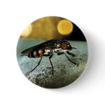 Fly Drone buttons