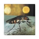Fly Drone magnets