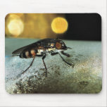 Fly Drone mousepads