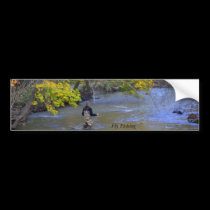 Fly Fishing bumper stickers