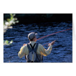 Fly Fishing Colorado cards