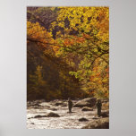 Fly Fishing In Autumn -