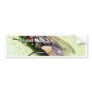Fly Flies Insect Bumper Sticker
