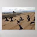 fly fly 001 posters