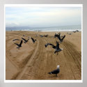 fly fly 002 posters