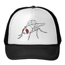 fly fly animal insect illustration graphic hat