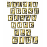 Fly Girl HIP HOP t shirt