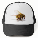Fly hats