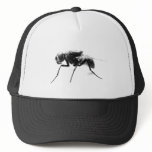 Fly Hat