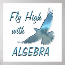 Fly High with Algebra Posters