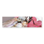 Fly Insect Bumper Sticker