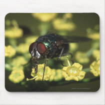 Fly mousepads