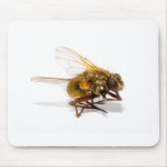 Fly Mouse Pad