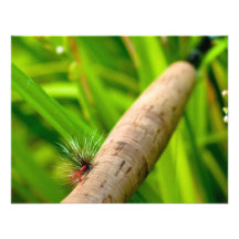 Fly Rod with Fly on Handle Invite