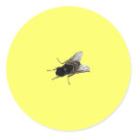 fly stickers