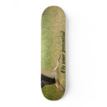 Fly your potential - stork skateboards