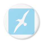 Flying Albatross