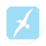Flying Albatross