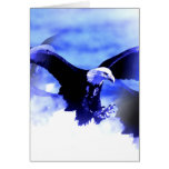 Flying Bald Eagle Card