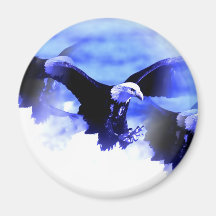 Flying Bald Eagle Fridge Magnets
