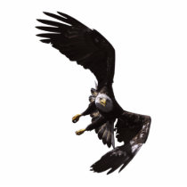 FLYING BALD EAGLE(sculpted) Magnet Cut Out