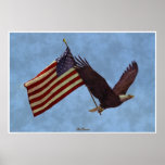 Flying Bald Eagle & US Flag Patriotic Art Poster