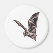 Flying Bat Refrigerator Magnet
