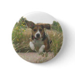 Flying Beagle In Tall Grass On A Button - Cooper