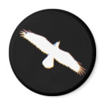 Flying Bird Silhouette magnets
