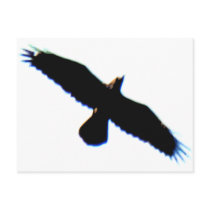 Flying Bird Silhouette Post Cards