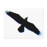 Flying Bird Silhouette postcards